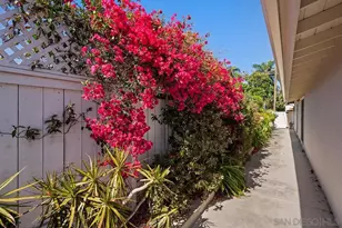 5942 Sagebrush Rd, La Jolla, CA 92037 - Photo 45