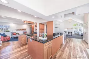 3603 Lorimer Ln, Encinitas, CA 92024 - Photo 19