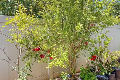  1675 Felicita, Escondido, CA 92025 - Photo 13