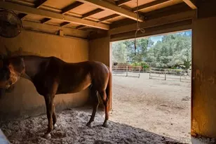 13970 Misty Oak Rd, Valley Center, CA 92082 - Photo 49