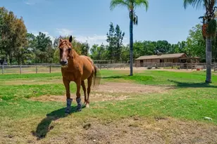 13970 Misty Oak Rd, Valley Center, CA 92082 - Photo 71