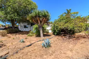 9165 San Juan Pl, La Mesa, CA 91941 - Photo 61