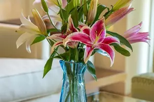 845 Fort Stockton, San Diego, CA 92103 - Photo 13