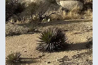  30006 Chihuahua Valley #2, Warner Springs, CA 92086 - Photo 19