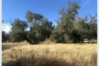  30006 Chihuahua Valley #2, Warner Springs, CA 92086 - Photo 7
