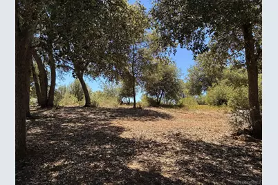  0 Frisius #1, Julian, CA 92036 - Photo 5