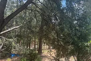 00 Big Pine, Idyllwild, CA 92549 - Photo 1