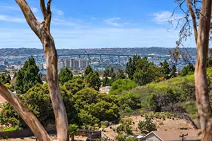 6476 Calle Pavana, San Diego, CA 92139 - Photo 31