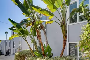 4750 Noyes, San Diego, CA 92109 - Photo 39
