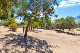 3150 Acacia Ln, Alpine, CA 91901 - Photo 41