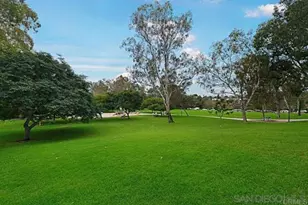 8356 Via Sonoma, La Jolla, CA 92037 - Photo 29