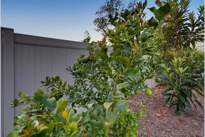  5850 Jan, La Mesa, CA 91942 - Photo 59
