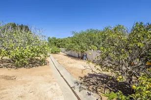 1202 Calle Sonia, Fallbrook, CA 92028 - Photo 51