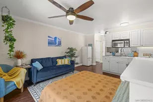 1021 Scott St, San Diego, CA 92106 - Photo 23