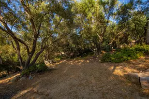 10010 Shadow Rd, La Mesa, CA 91941 - Photo 61