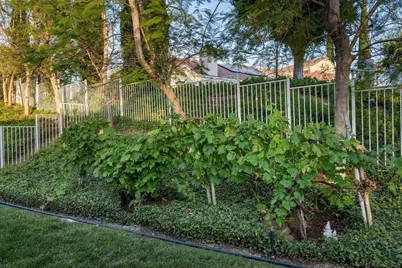  16238 Country Day, Poway, CA 92064 - Photo 59