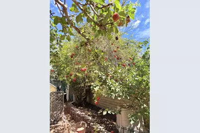  7320 Jackson Drive, San Diego, CA 92119 - Photo 19