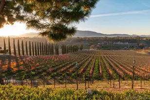 24643 Leafwood Dr, Murrieta, CA 92562 - Photo 25