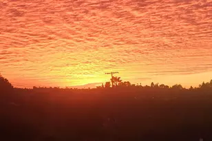 15751 Lyons Valley Rd, Jamul, CA 91935 - Photo 5