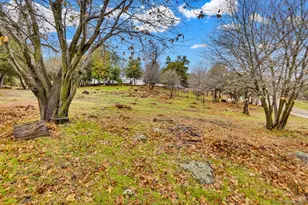 17009 Iron Springs Rd, Julian, CA 92036 - Photo 9