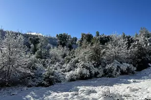 17009 Iron Springs Rd, Julian, CA 92036 - Photo 63