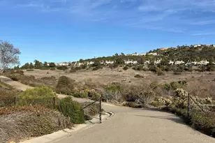 2412 Altisma Way, Carlsbad, CA 92009 - Photo 43