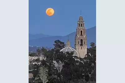  2604 5th Ave #801, San Diego, CA 92103 - Photo 69