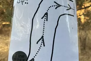 9502 Elm Dr, Descanso, CA 91916 - Photo 33