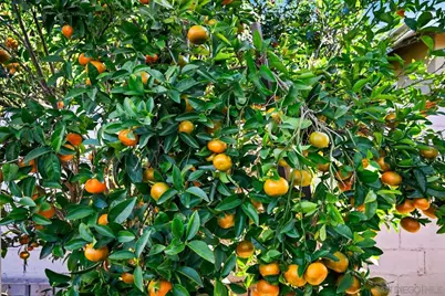  720 Fern St, Escondido, CA 92027 - Photo 27