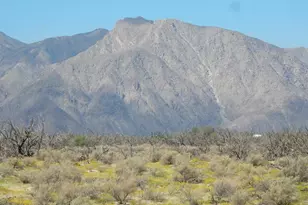 Yaqui Pass Rd, Borrego Springs, CA 92004 - Photo 1