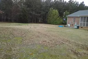 1244 E Butler Rd, Greenville, SC 29607 - Photo 13