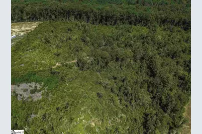 0 Roddy Road, Woodruff, SC 29388 - Photo 7