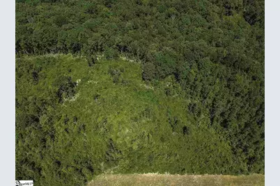 0 Roddy Road, Woodruff, SC 29388 - Photo 9