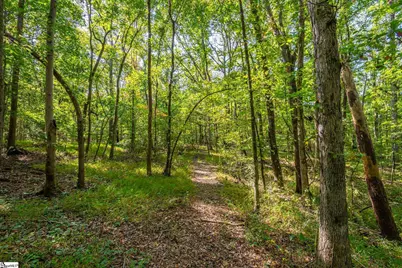 276 Burns Road, Greer, SC 29651 - Photo 17