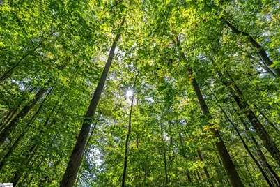 276 Burns Road, Greer, SC 29651 - Photo 11