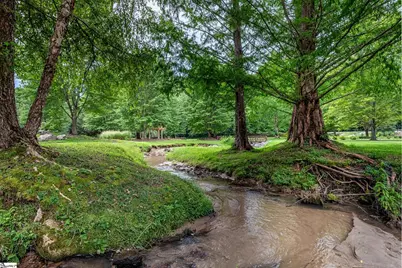 905 Mountain Summit Road, Travelers Rest, SC 29690 - Photo 25