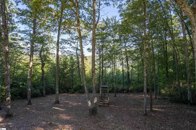 905 Mountain Summit Road, Travelers Rest, SC 29690 - Photo 5
