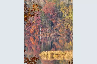 570 Club Drive, Greenville, SC 29611 - Photo 7