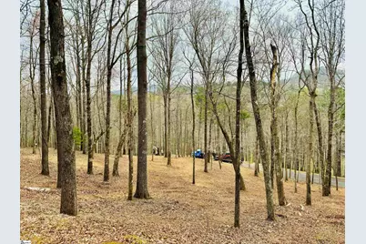 101 Crystal Brook Trail, Travelers Rest, SC 29690 - Photo 1