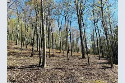 101 Crystal Brook Trail, Travelers Rest, SC 29690 - Photo 3