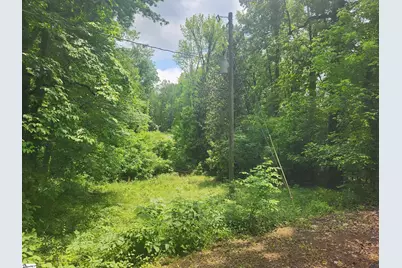 00 Tibbitts Lane, Waterloo, SC 29384 - Photo 9