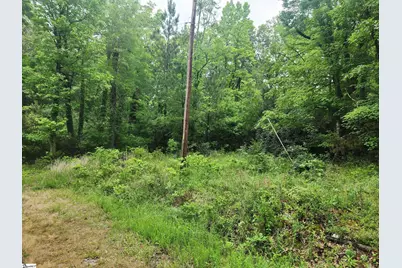 00 Tibbitts Lane, Waterloo, SC 29384 - Photo 5