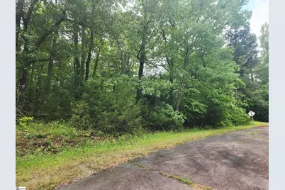 00 Tibbitts Lane, Waterloo, SC 29384 - Photo 3