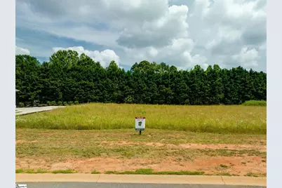 577 Adaliz Way, Greer, SC 29651 - Photo 9