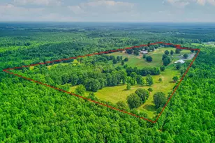 31 Doughtery Dr, Cross Hill, SC 29332 - Photo 29