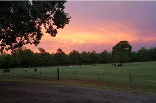 31 Doughtery Dr, Cross Hill, SC 29332 - Photo 27