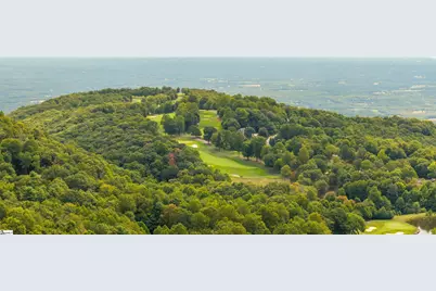 4 Morning Glory Way, Landrum, SC 29356 - Photo 41