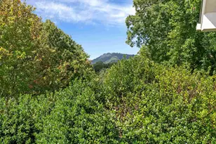 118 Blue Teal Way, Landrum, SC 29356 - Photo 33