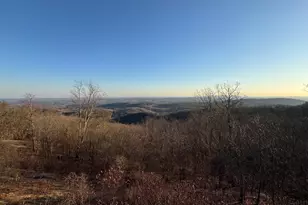 118 Blue Teal Way, Landrum, SC 29356 - Photo 35