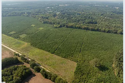 006 Young Road, Clinton, SC 29325 - Photo 17